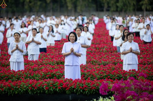 ภาพ No.280925:วันที่ 28 ธันวาคม พ.ศ.2568 กิจกรรมเก็บดอกแพงรวย ณ ทุ่งสวรรค์ตะวันฉาย วัดพระธรรมกาย