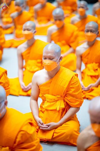 ภาพ No.141465:พิธีบรรพชาอุปสมบท โครงการอุปสมบทหมู่รุ่นผู้บริหาร รุ่นที่ 14 โครงการอุปสมบทหมู่ธรรมทายาท ระดับอุดมศึกษา รุ่นที่ 51 ภาคฤดูฝน ณ โบสถ์พระไตรปิฎก วัดพระธรรมกาย ในวันเสาร์ที่ 15 มิถุนายน พ.ศ. 2567