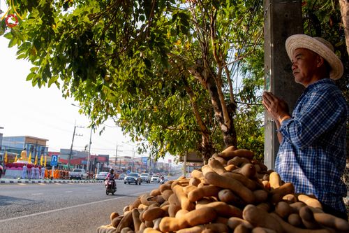 ภาพ No.310514:วันอาทิตย์ที่ 22 กุมภาพันธ์ พ.ศ. 2569 พิธีอัญเชิญพระประธาน “พระธรรมกาย” เพื่อไปประดิษฐาน ณ ธุดงเข้าสถานอำนาจเจริญ จังหวัดอำนาจเจริญ