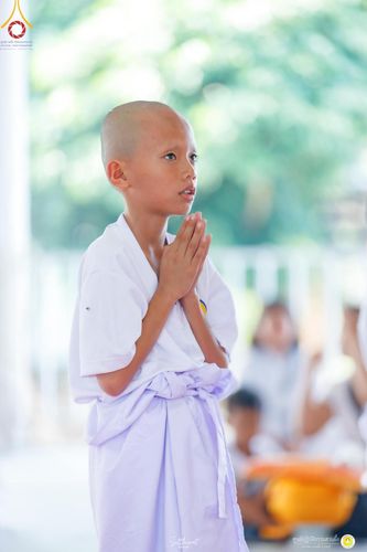 ภาพ No.161461:โครงการบรรพชาสามเณรภาคฤดูฝน รุ่นที่ 14 วันเสาร์ที่ 12 ตุลาคม พ.ศ. 2567  ณ ศูนย์ปฏิบัติธรรมสวนผึ้ง จังหวัดราชบุรี