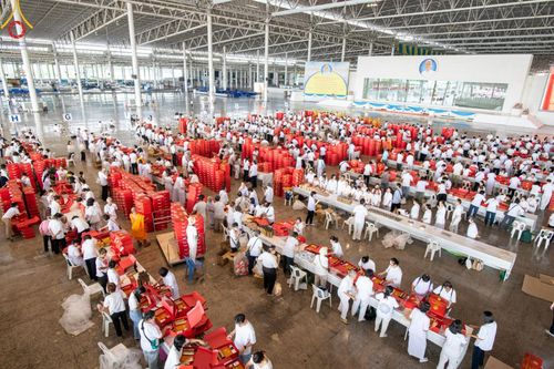 ภาพ No.212021:วันจันทร์ที่ 17 มีนาคม พ.ศ. 2568 บุญบรรจุกล่องไทยธรรม เพื่อถวายแด่พระสังฆาธิการ 40,000 กว่าวัดทั่วไทย ในวันคุ้มครองโลก 22 เมษายน พ.ศ. 2568 ณ บ้านแก้วเรือนทองคุณยายฯ วัดพระธรรมกาย