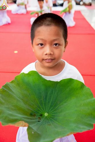 ภาพ No.213779:วันเสาร์ที่ 29 มีนาคม พ.ศ. 2568 พิธีตัดปอยผม ขอขมาผู้ปกครอง มอบบาตร-ผ้าไตร และพิธีบรรพชาสามเณร ณ ศูนย์ปฏิบัติธรรมจังหวัดระยอง (บ้านช่องลม) ต.บางบุตร อ.บ้านค่าย จ.ระยอง