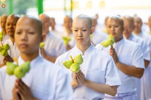 ภาพ No.228855:วันเสาร์ที่ 14 มิถุนายน พ.ศ. 2568 พิธีเวียนประทักษิณ , พิธีขอขมารับผ้าไตร ในโครงการบรรพชาอุปสมบทหมู่ ผู้บริหารรุ่นที่ 15 และ อุดมศึกษา รุ่นที่ 52 ณ โบสถ์พระไตรปิฎก วัดพระธรรมกาย