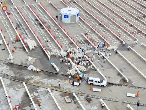 ภาพ No.218936:วันที่ 18-20 เมษายน พ.ศ. 2568 การเตรียมงานในลานธรรม , วิหารคด เพื่องานวันคุ้มครองโลก 22 เมษายน พศ. 2568