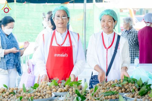 ภาพ No.200865:พิธีถวายภัตตาหารเป็นสังฆทาน แด่พระธรรมยาตรา ณ อนุสรณ์สถานบางปลา วัดบางปลา อำเภอบางเลน จังหวัดนครปฐม ในโครงการธรรมยาตรา กตัญญูบูชา มหาปูชนียาจารย์ พระมงคลเทพมุนี(สด จนฺทสโร) พระผู้ปราบมาร อนุสรณ์สถาน 7 แห่ง ปีที่ 13 วันที่ 24 มกราคม พ.ศ. 2568