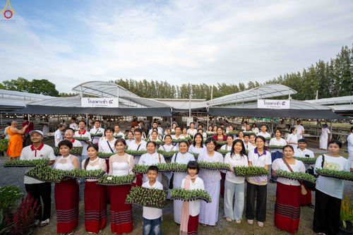 ภาพ No.344045:วันที่ 16 สิงหาคม พ.ศ.2569 การปักชำต้นกล้าเบญจทรัพย์ เพื่อเตรียมดอกไม้บูชาธรรม พระเดชพระคุณหลวงปู่ และโปรยต้อนรับพระธรรมยาตรา ปีที่ 15 ณ โรงเรือนปักชำประตู 8 วัดพระธรรมกาย
