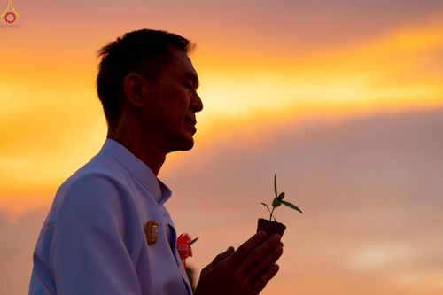 ภาพ No.253011:วันที่ 10 ตุลาคม พ.ศ. 2568 พิธีปลูกต้นทรัพย์บานชื่น ณ ลานธรรม วัดพระธรรมกาย