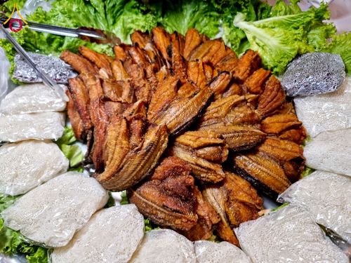 ภาพ No.202801:พิธีถวายภัตตาหารเป็นสังฆทาน แด่พระธรรมยาตรา ณ วัดพระธรรมกาย ตำบลคลองสาม อำเภอคลองหลวง จังหวัดปทุมธานี ในโครงการธรรมยาตรา กตัญญูบูชา มหาปูชนียาจารย์ พระมงคลเทพมุนี(สด จนฺทสโร) พระผู้ปราบมาร อนุสรณ์สถาน 7 แห่ง ปีที่ 13 วันที่ 28 มกราคม พ.ศ. 2568