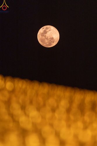 ภาพ No.124874:พิธีเวียนประทักษิณและจุดมาฆประทีป ในวันมาฆบูชา เสาร์ที่ 24 กุมภาพันธ์ พ.ศ. 2567 ณ พระมหาธรรมกายเจดีย์ วัดพระธรรมกาย