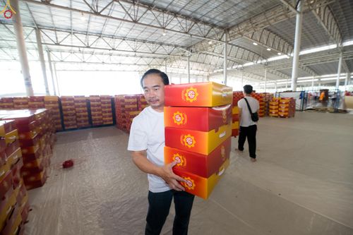 ภาพ No.320538:วันที่ 10 เมษายน พ.ศ.2569 การเตรียมกล่องไทยธรรม เพื่องานถวายมหาสังฆทาน 40,000 กว่าวัดทั่วประเทศ วันคุ้มครองโลก 22 เมษายน พ.ศ.2569 วัดพระธรรมกาย