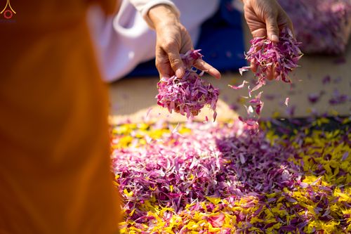 ภาพ No.305843:วันที่ 25 มกราคม พ.ศ. 2569 พิธีต้อนรับพระธรรมยาตรา วัดพระธรรมกาย(ภาพชุดที่ 3) ในโครงการธรรมยาตรา กตัญญูบูชา มหาปูชนียาจารย์ พระมงคลเทพมุนี(สด จนฺทสโร) พระผู้ปราบมาร อนุสรณ์สถาน 7 แห่ง ปีที่ 14