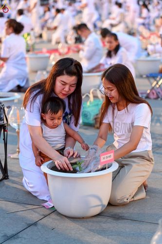 ภาพ No.253047:วันที่ 10 ตุลาคม พ.ศ. 2568 พิธีปลูกต้นทรัพย์บานชื่น ณ ลานธรรม วัดพระธรรมกาย