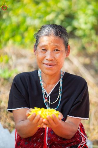 ภาพ No.206233:HAPPY FACE @ธรรมยาตรา # 1 ในโครงการธรรมยาตรา กตัญญูบูชา มหาปูชนียาจารย์ พระมงคลเทพมุนี(สด จนฺทสโร) พระผู้ปราบมาร อนุสรณ์สถาน 7 แห่ง ปีที่ 13 ระหว่างวันที่ 2-31 มกราคม พ.ศ. 2568