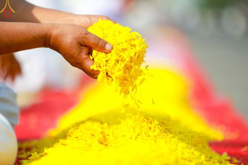 ภาพ No.120169:พิธีต้อนรับพระธรรมยาตรา ในโครงการธรรมยาตรา กตัญญูบูชา มหาปูชนียาจารย์ พระมงคลเทพมุนี(สด จนฺทสโร) พระผู้ปราบมาร อนุสรณ์สถาน 7 แห่ง ปีที่ 12 วันที่ 28 มกราคม พ.ศ. 2567 ณ วัดพระธรรมกาย จ.ปทุมธานี