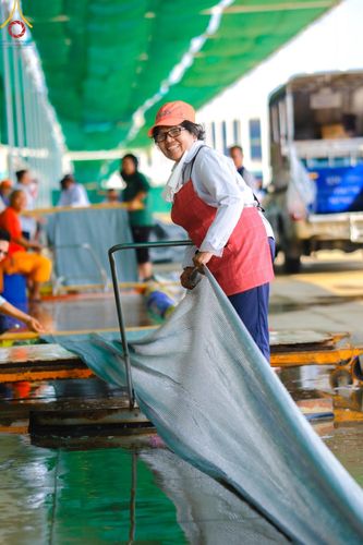 ภาพ No.208172:V.55 สารพัดV สารพัดดี ที่วัดพระธรรมกาย ในโครงการธรรมยาตรา กตัญญูบูชา มหาปูชนียาจารย์ พระมงคลเทพมุนี (สด จนฺทสโร) พระผู้ปราบมาร อนุสรณ์สถาน 7 แห่ง ปีที่ 13 ระหว่างวันที่ 2-31 มกราคม พ.ศ. 2568