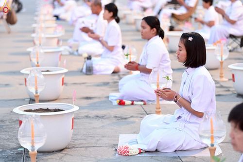 ภาพ No.252983:วันที่ 10 ตุลาคม พ.ศ. 2568 พิธีปลูกต้นทรัพย์บานชื่น ณ ลานธรรม วัดพระธรรมกาย