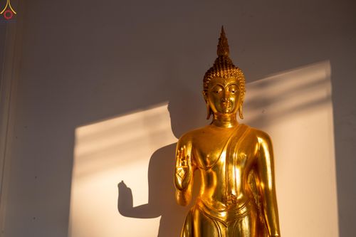 ภาพ No.293986:วันที่ 14 มกราคม พ.ศ. 2569 พิธีจุดประทีปถวายเป็นพุทธบูชา และบูชาธรรมมหาปูชนียาจารย์  ณ วัดสองพี่น้อง ต.ต้นตาล อ.สองพี่น้อง จ.สุพรรณบุรี ในโครงการธรรมยาตรา กตัญญูบูชา มหาปูชนียาจารย์ พระมงคลเทพมุนี(สด จนฺทสโร) พระผู้ปราบมาร อนุสรณ์สถาน 7 แห่ง ปีที่ 14