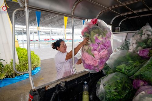 ภาพ No.58428:V.41 เทหมดใจ  ลุยต่อไป ร้อยซาวปี การเตรียมงาน การปฏิบัติงาน และการเก็บงาน ของเจ้าหน้าที่หน่วยงานต่างๆ เพื่อพิธีฉลองอายุวัฒนมงคล 80 ปี หลวงพ่อธัมมชโย และรับถวายมหาสังฆทาน 10,000 กว่าวัดทั่วประเทศ ในวันคุ้มครองโลก จันทร์ที่ 22 เมษายน พ.ศ. 2567