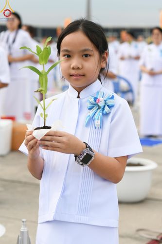 ภาพ No.160440:พิธีปลูกต้นทรัพย์บานชื่น ณ ลานธรรม พระมหาธรรมกายเจดีย์ วัดพระธรรมกาย จ.ปทุมธานี วันพฤหัสบดีที่ 10 ตุลาคม พ.ศ. 2567