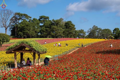 ภาพ No.188335:บรรยากาศ ทุ่งสวรรค์หรรษาพนาวัฒน์ ณ สวนพนาวัฒน์ อ.ฮอด จ.เชียงใหม่ เปิดให้เข้าชมฟรี ระหว่างวันที่ 28 ธันวาคม พ.ศ. 2567 ถึง วันที่ 3 มกราคม พ.ศ. 2568 เวลา 08.00-17.00 น.