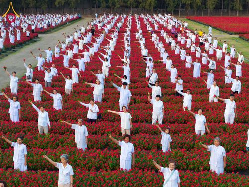 ภาพ No.185484:กิจกรรมเก็บดอกแพงรวย วันอาทิตย์ที่ 22 ธันวาคม พ.ศ. 2567 ณ ทุ่งสวรรค์ ตะวันฉาย วัดพระธรรมกาย