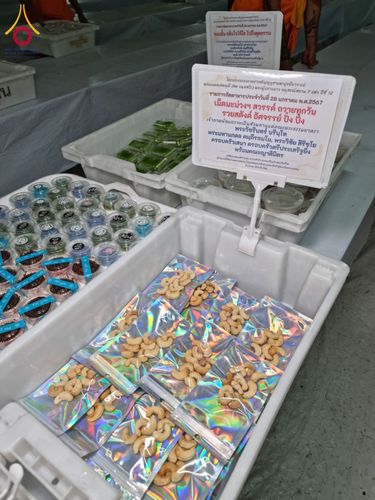 ภาพ No.119942:พิธีถวายภัตตาหารเป็นสังฆทาน แด่คณะพระธรรมยาตรา ปีที่ 12 วันที่ 28 มกราคม พ.ศ. 2567 ณ อนุสรณ์สถานบางปลา จ.นครปฐม