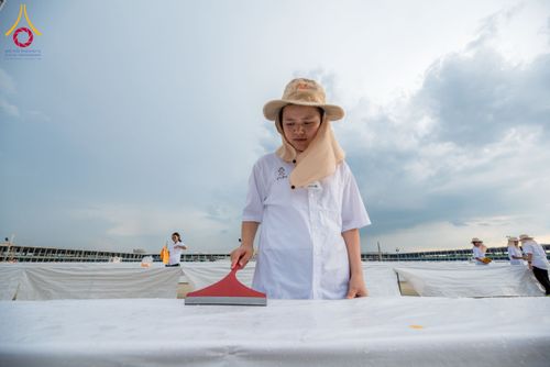 ภาพ No.217755:วันที่ 10-14 เมษายน พ.ศ. 2568 เจ้าหน้าที่อาสาสมัคร เตรียมงานวันคุ้มครองโลก ชุดที่ 2 วัดพระธรรมกาย จ.ปทุมธานี