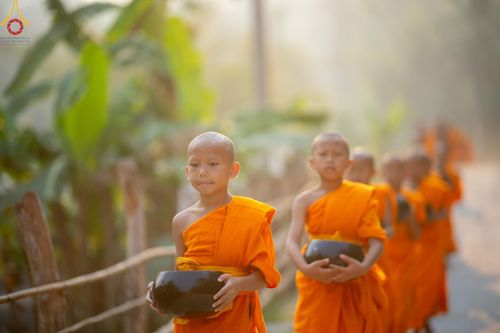 ภาพ No.62269:Photo Story  มหัศจรรย์วัดดงดินแดง Episode 4 กิจกรรมตักบาตรฉลองพระ-เณรกว่า 500 รูป