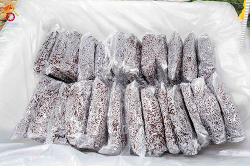 ภาพ No.296711:วันที่ 18 มกราคม พ.ศ. 2569 พิธีถวายภัตตาหารเป็นสังฆทาน แด่พระธรรมยาตรา ณ วัดโบสถ์บน ต.บางคูเวียง จ.นนทบุรี อนุสรณ์สถานลำดับที่ 4 สถานที่เกิดด้วยกายธรรม ในโครงการธรรมยาตรา กตัญญูบูชา มหาปูชนียาจารย์ พระมงคลเทพมุนี(สด จนฺทสโร) พระผู้ปราบมาร อนุสรณ์สถาน 7 แ