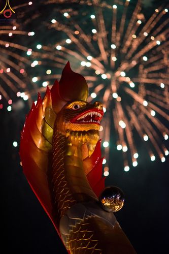 ภาพ No.200646:พิธีจุดประทีปถวายเป็นพุทธบูชา และบูชาธรรมมหาปูชนียาจารย์ ณ อนุสรณ์สถานบางปลา วัดบางปลา อำเภอบางเลน จังหวัดนครปฐม ในโครงการธรรมยาตรา กตัญญูบูชา มหาปูชนียาจารย์ พระมงคลเทพมุนี(สด จนฺทสโร) พระผู้ปราบมาร อนุสรณ์สถาน 7 แห่ง ปีที่ 13 วันที่ 23 มกราคม พ.ศ. 2568