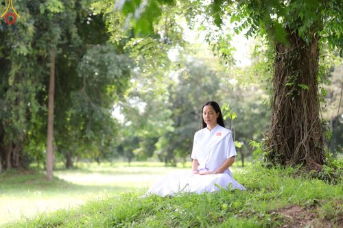 ภาพ No.155030:โครงการอุบาสกแก้ว อุบาสิกาแก้ว รุ่นที่ 2 ตัวแทนทอดกฐินสามัคคีทั่วไทย 30,000 วัด บูชาธรรม 80 ปี หลวงพ่อธัมมชโย จังหวัดบุรีรัมย์ ระหว่างวันที่ 13-15 กันยายน พ.ศ. 2567