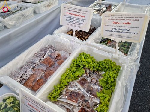 ภาพ No.106715:พิธีถวายภัตตาหารเป็นสังฆทาน แด่คณะพระธรรมยาตราฯ ในโครงการธรรมยาตรากตัญญูบูชา มหาปูชนียาจารย์ พระมงคลเทพมุนี(สด จนฺทสโร) พระผู้ปราบมาร อนุสรณ์สถาน 7 แห่ง ปีที่ 12 วันที่ 6 มกราคม พ.ศ. 2567 ณ อนุสรณ์สถานโลตัสแลนด์ จ.สุพรรณบุรี