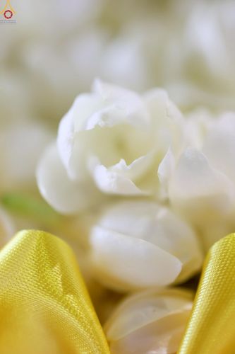 ภาพ No.251281:วันที่ 10 ตุลาคม พ.ศ. 2568 พิธีปฏิบัติธรรม ในวันคล้ายวันเกิด 141 ปี พระมงคลเทพมุนี (สด จนฺทสโร) พระผู้ปราบมาร ณ สภาธรรมกายสากล วัดพระธรรมกาย