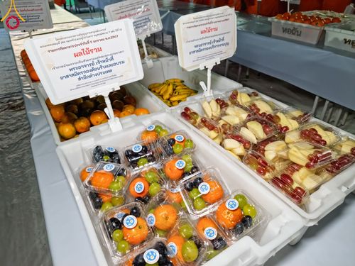 ภาพ No.109027:พิธีถวายภัตตาหารเป็นสังฆทาน แด่คณะพระธรรมยาตราฯ ในโครงการธรรมยาตรากตัญญูบูชา มหาปูชนียาจารย์ พระมงคลเทพมุนี(สด จนฺทสโร) พระผู้ปราบมาร อนุสรณ์สถาน 7 แห่ง ปีที่ 12 วันที่ 9 มกราคม พ.ศ. 2567 ณ อนุสรณ์สถานคลองบางนางแท่น  อ.สามพราน จ.นครปฐม