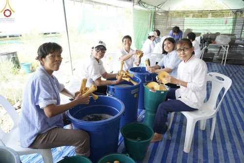 ภาพ No.211169:วันเสาร์ที่ 15 มีนาคม พ.ศ. 2568  การเตรียมงานของเจ้าหน้าที่ เพื่องานฉลองปทุมเจดีย์ ณ ศูนย์อบรมเยาวชนปัตตานี