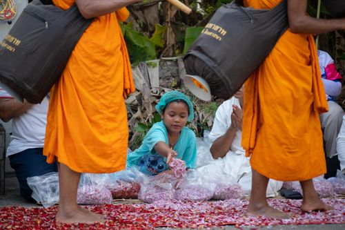 ภาพ No.295170:วันที่ 14 มกราคม พ.ศ. 2569 พิธีต้อนรับพระธรรมยาตรา อนุสรณ์สถานลำดับที่ 4  สถานที่เกิดด้วยกายธรรม ณ วัดโบสถ์บน ต.บางคูเวียง จ.นนทบุรี ในโครงการธรรมยาตรา กตัญญูบูชา มหาปูชนียาจารย์ พระมงคลเทพมุนี(สด จนฺทสโร) พระผู้ปราบมาร อนุสรณ์สถาน 7 แห่ง ปีที่ 14