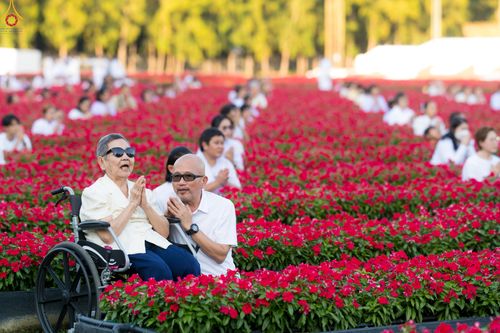 ภาพ No.280904:วันที่ 28 ธันวาคม พ.ศ.2568 กิจกรรมเก็บดอกแพงรวย ณ ทุ่งสวรรค์ตะวันฉาย วัดพระธรรมกาย