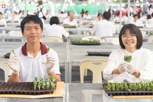 ภาพ No.343973:วันที่ 16 สิงหาคม พ.ศ.2569 การปักชำต้นกล้าเบญจทรัพย์ เพื่อเตรียมดอกไม้บูชาธรรม พระเดชพระคุณหลวงปู่ และโปรยต้อนรับพระธรรมยาตรา ปีที่ 15 ณ โรงเรือนปักชำประตู 8 วัดพระธรรมกาย