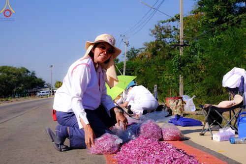 ภาพ No.105895:V.2 ทุ่มเท การเตรียมงาน เก็บงาน การรับบุญของเจ้าหน้าที่หน่วยงานต่างๆ เพื่อโครงการธรรมยาตรา กตัญญูบูชามหาปูชนียาจารย์ พระมงคลเทพมุนี (สด จนฺทสโร) พระผู้ปราบมาร อนุสรณ์สถาน 7 แห่ง ปีที่ 12 ระหว่างวันที่ 2 - 31 มกราคม พ.ศ.2567