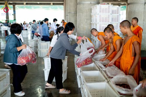 ภาพ No.279511:วันที่ 19-26 ธันวาคม พ.ศ. 2568 และ วันที่ 1 มกราคม พ.ศ.2569 รับบุญปลิดกลีบดอกไม้ เพื่อโปรยต้อนรับพระธรรมยาตรา