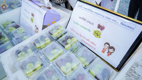 ภาพ No.74448:พิธีถวายภัตตาหารเป็นสังฆทาน แด่คณะพระธรรมยาตราฯ ในโครงการธรรมยาตรากตัญญูบูชา มหาปูชนียาจารย์ พระมงคลเทพมุนี(สด จนฺทสโร) พระผู้ปราบมาร อนุสรณ์สถาน 7 แห่ง ปีที่ 11 วันที่ 26 มกราคม พ.ศ. 2566