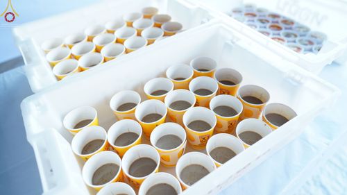 ภาพ No.74062:พิธีถวายภัตตาหารเป็นสังฆทาน แด่คณะพระธรรมยาตราฯ ในโครงการธรรมยาตรากตัญญูบูชา มหาปูชนียาจารย์ พระมงคลเทพมุนี(สด จนฺทสโร) พระผู้ปราบมาร อนุสรณ์สถาน 7 แห่ง ปีที่ 11 วันที่ 24 มกราคม พ.ศ. 2566