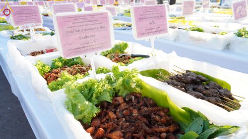 ภาพ No.71376:พิธีถวายภัตตาหารเป็นสังฆทาน แด่คณะพระธรรมยาตราฯ ในโครงการธรรมยาตรากตัญญูบูชา มหาปูชนียาจารย์ พระมงคลเทพมุนี(สด จนฺทสโร) พระผู้ปราบมาร อนุสรณ์สถาน 7 แห่ง ปีที่ 11 วันที่ 15 มกราคม พ.ศ. 2566