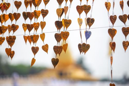 ภาพ No.129193:พระธรรมยาตราเดินธรรมยาตรา ณ ชุมชนรอบศูนย์ปฏิบัติธรรมภาคใต้ อ.บางกล่ำ จ.สงขลา วันที่ 10 มีนาคม พ.ศ. 2567