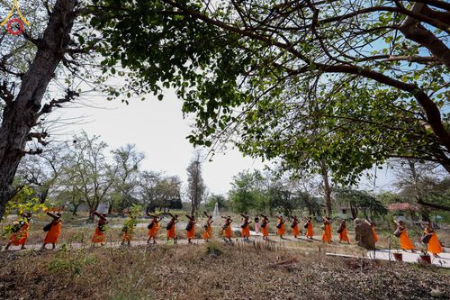 ภาพ No.315798:วันอังคารที่ 24 มีนาคม พ.ศ.2569 ธรรมยาตราจาริก ณ ป่ามหาวัน ประเทศเนปาล