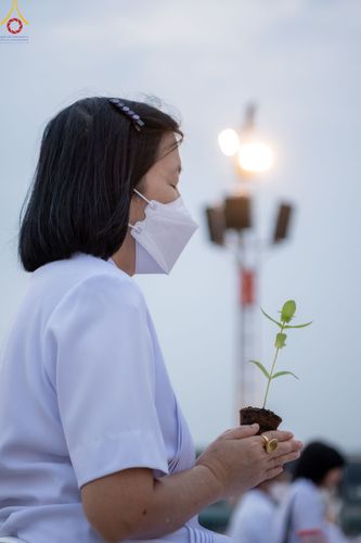 ภาพ No.90178:พิธีปลูกทรัพย์บานชื่น  เนื่องใน 139 ปี วันคล้ายวันเกิดด้วยรูปกายเนื้อ พระมงคลเทพมุนี (สด จนฺทสโร) พระผู้ปราบมาร วันอังคารที่ 10 ตุลาคม พ.ศ. 2566 ณ วัดพระธรรมกาย จ.ปทุมธานี