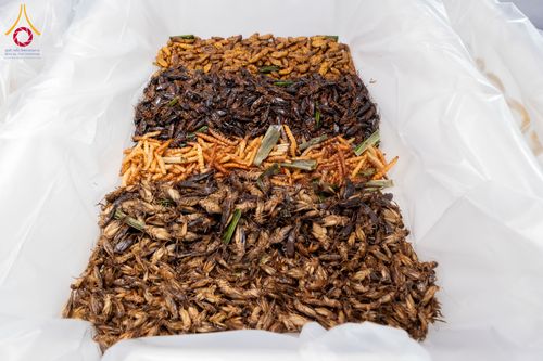 ภาพ No.292286:วันที่ 11 มกราคม พ.ศ. 2569 พิธีถวายภัตตาหารเป็นสังฆทาน แด่พระธรรมยาตรา ในโครงการธรรมยาตรา กตัญญูบูชา มหาปูชนียาจารย์ พระมงคลเทพมุนี(สด จนฺทสโร) พระผู้ปราบมาร อนุสรณ์สถาน 7 แห่ง ปีที่ 14 ณ  อนุสรณ์สถานลำดับที่ 2  สถานที่ตั้งมโนปณิธานบวชตลอดชีวิต อนุสรณ์สถ