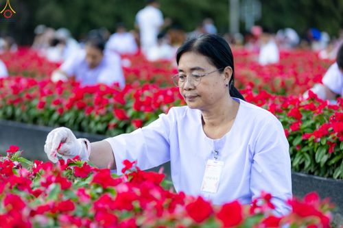 ภาพ No.280998:วันที่ 28 ธันวาคม พ.ศ.2568 กิจกรรมเก็บดอกแพงรวย ณ ทุ่งสวรรค์ตะวันฉาย วัดพระธรรมกาย