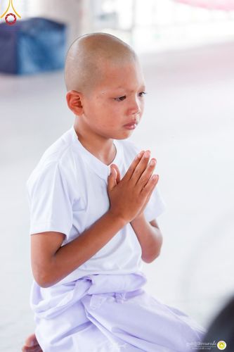 ภาพ No.215981:วันพฤหัสบดีที่ 3 เมษายน พ.ศ. 2568 พิธีบรรพชาสามเณร ภาคฤดูร้อน รุ่นที่ 15  บูชาธรรมหลวงพ่อธัมมชโย 81 ปี 81 รูป ณ ศูนย์ปฏิบัติธรรมสวนผึ้ง จ.ราชบุรี