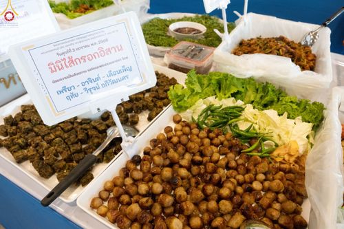 ภาพ No.188542:พิธีถวายภัตตาหารเป็นสังฆทาน แด่พระธรรมยาตรา ในโครงการธรรมยาตรา กตัญญูบูชา มหาปูชนียาจารย์ พระมงคลเทพมุนี(สด จนฺทสโร) พระผู้ปราบมาร อนุสรณ์สถาน 7 แห่ง ปีที่ 13 ณ สภาธรรมกายสากล วัดพระธรรมกาย วันที่ 3 มกราคม พ.ศ. 2568